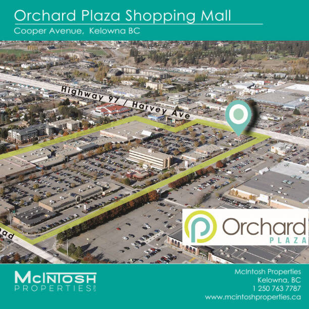 orchard-plaza-opportunity
